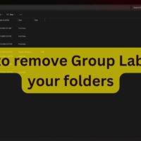 Remove group labels in windows explorer