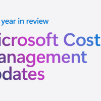 Microsoft cost management the 2024 report.png