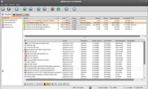 qbittorrent trackers