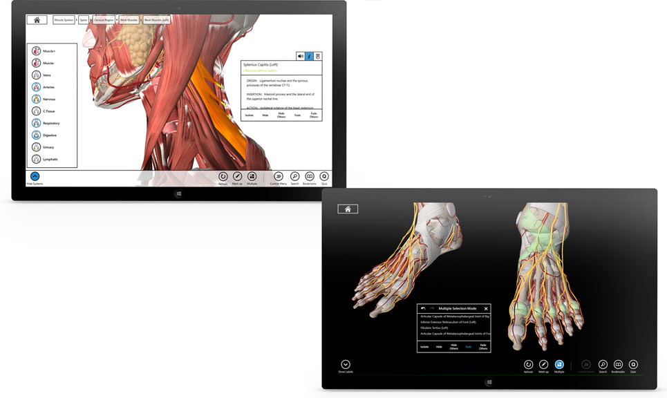 essential anatomy windows 7
