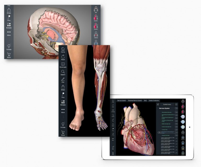 essential anatomy for pc