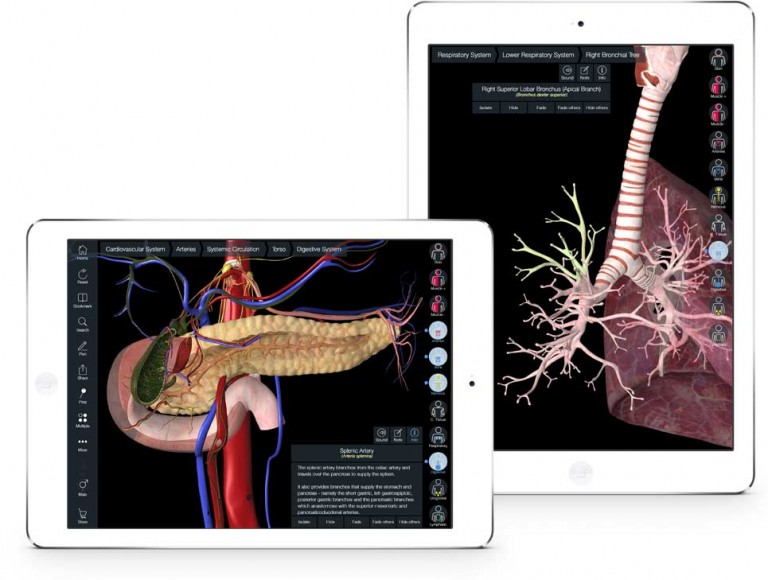 essential anatomy 3 windows download