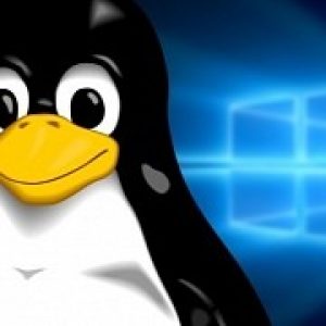 Let s chat windows vs linux