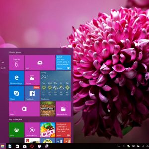 One windows 10 bug microsoft should make a feature in redstone 6 522074 3