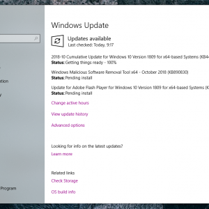 Microsoft reportedly pulls windows 10 version 1809 cumulative update kb4464330 523206 2