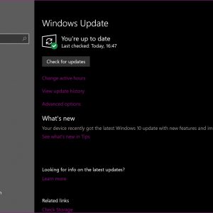 Microsoft suspends windows 10 october 2018 update rollout due to critical bugs 523085 2