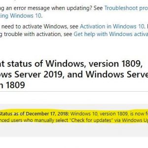 Manually checking for updates will now download windows 10 version 1809 524312 2