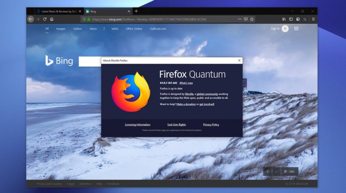 mozilla firefox theme flashing