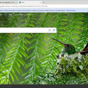 Completely reset the chromium based microsoft edge browser 525479 7