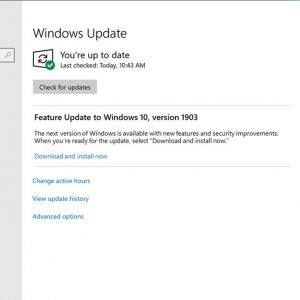 Windows 10 may 2019 update to launch with download and install update feature 525571 2