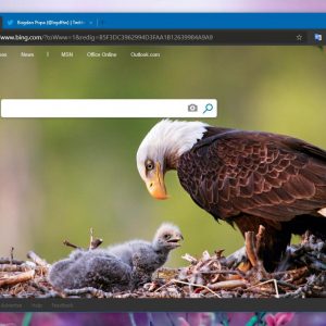 How to report a dangerous website in chromium microsoft edge 526465 2