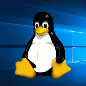 Linux still not a threat to windows 10 s home domination 529087 2