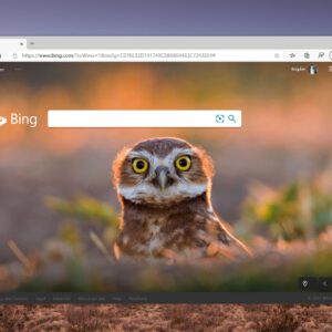 New microsoft edge dev update released with dark theme improvements 530855 2 scaled