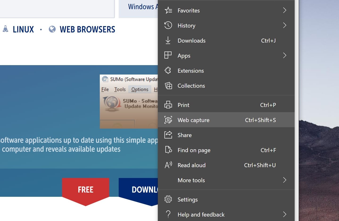 full screen webpage capture windows