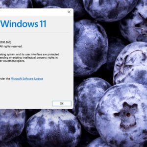 Microsoft releases a new windows 11 testing build