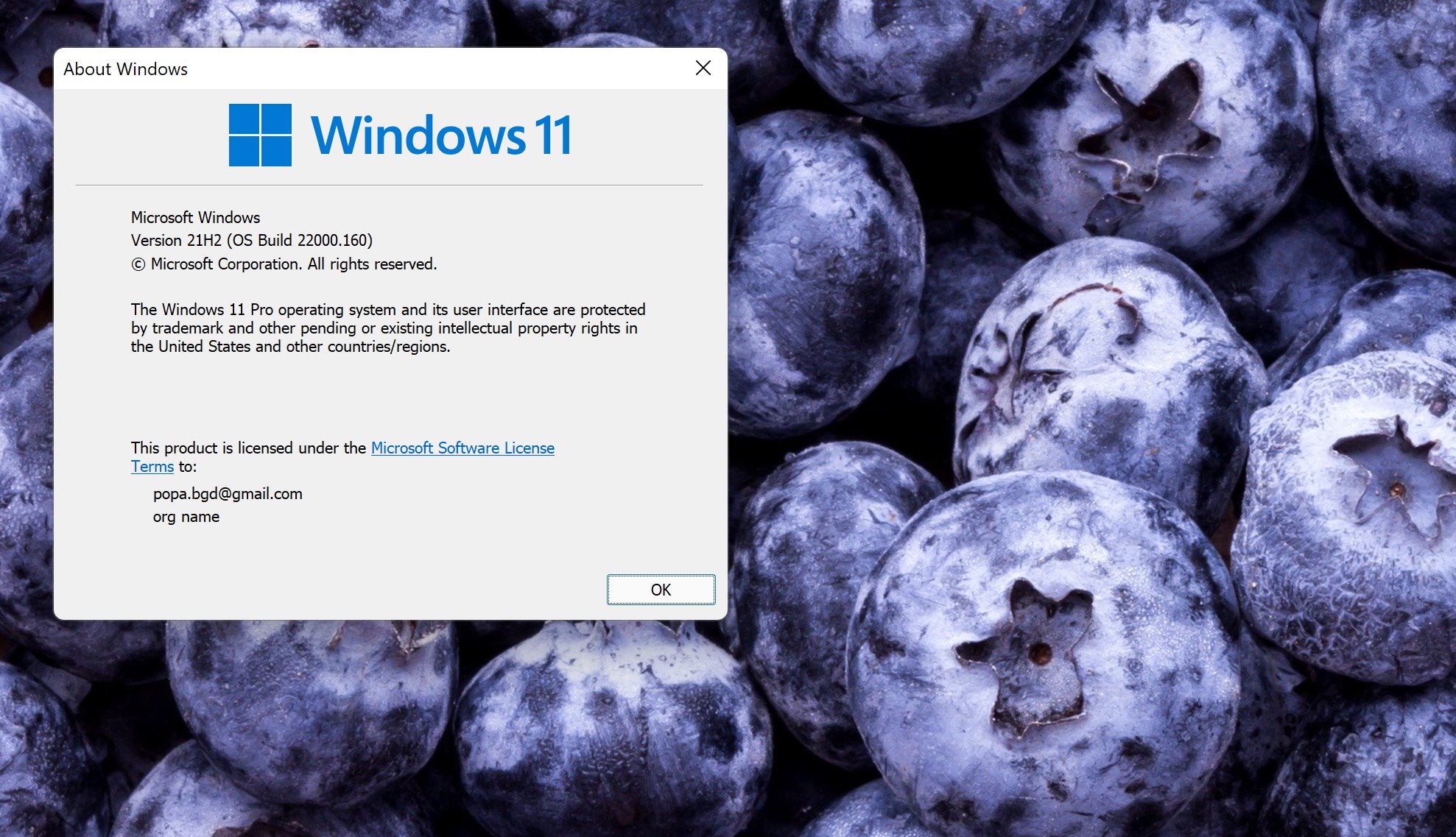 Microsoft Releases Windows 11 Preview Available To Do - vrogue.co