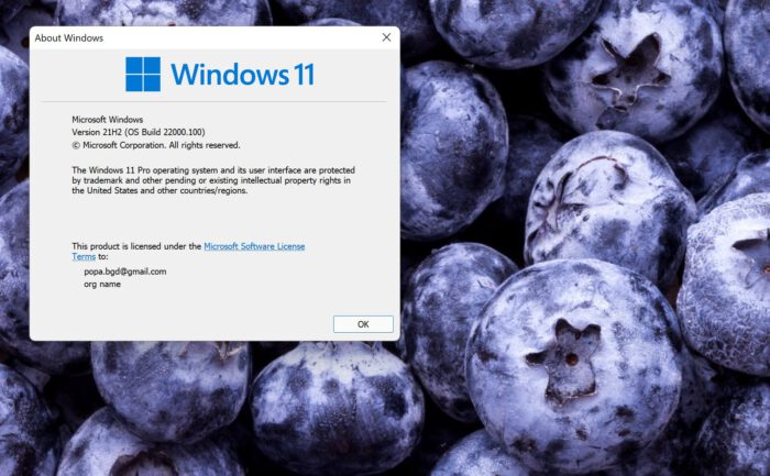 Windows 11 download release date