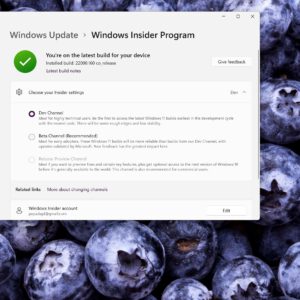 Windows 11 testers unable to switch to the beta channel