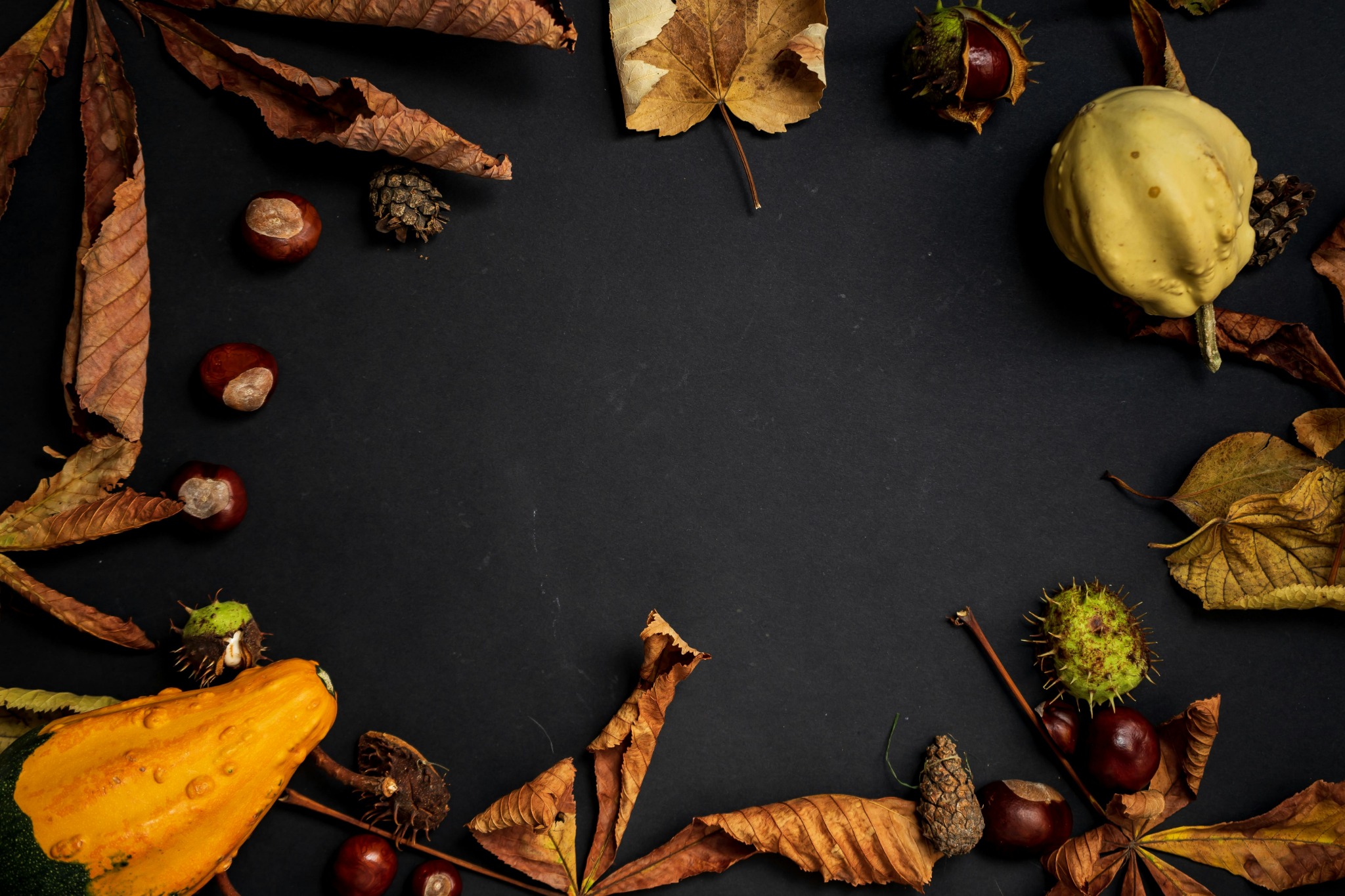 Autumn leaves pumpkin frame