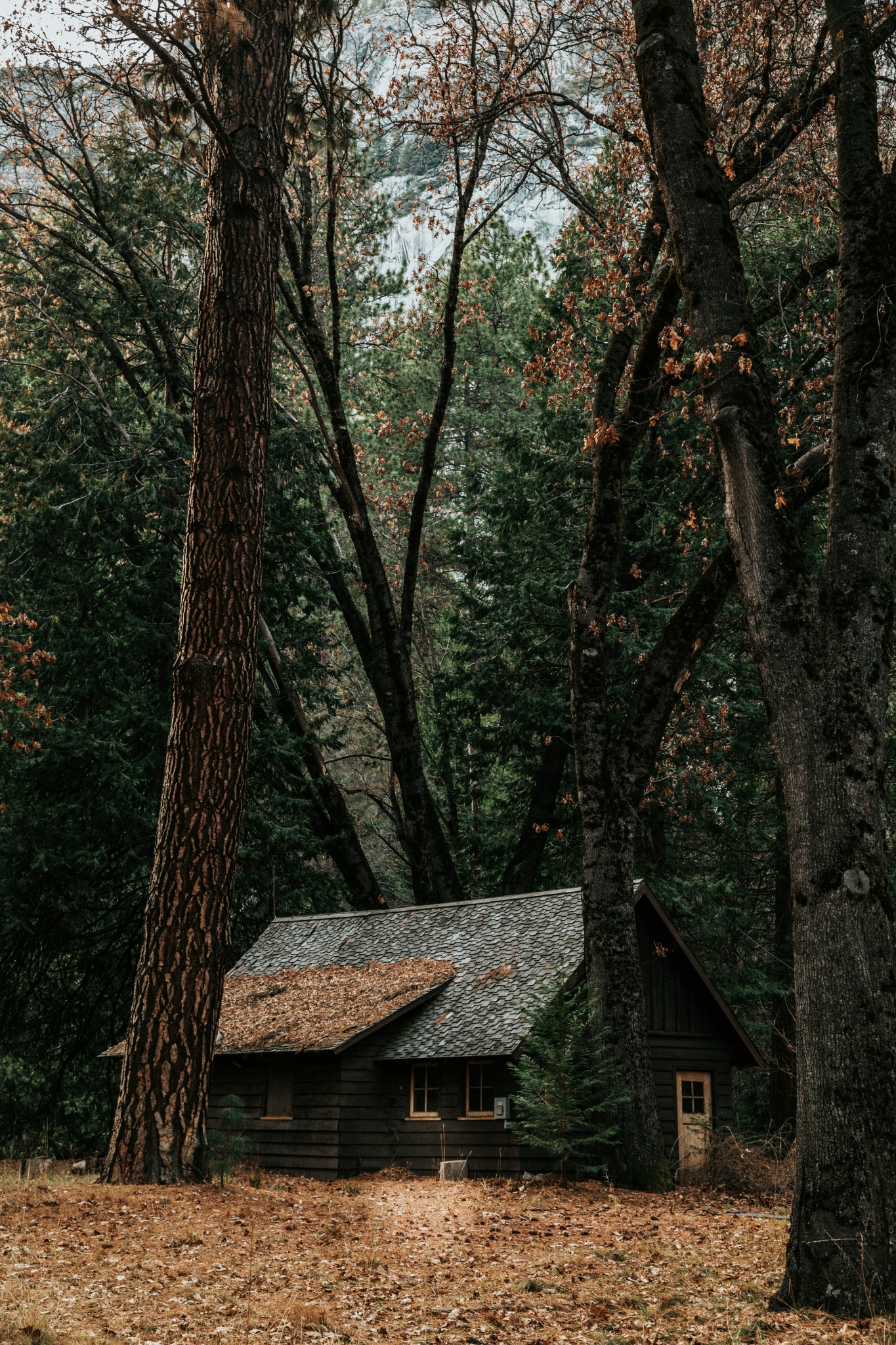 Cabin in autumn woods