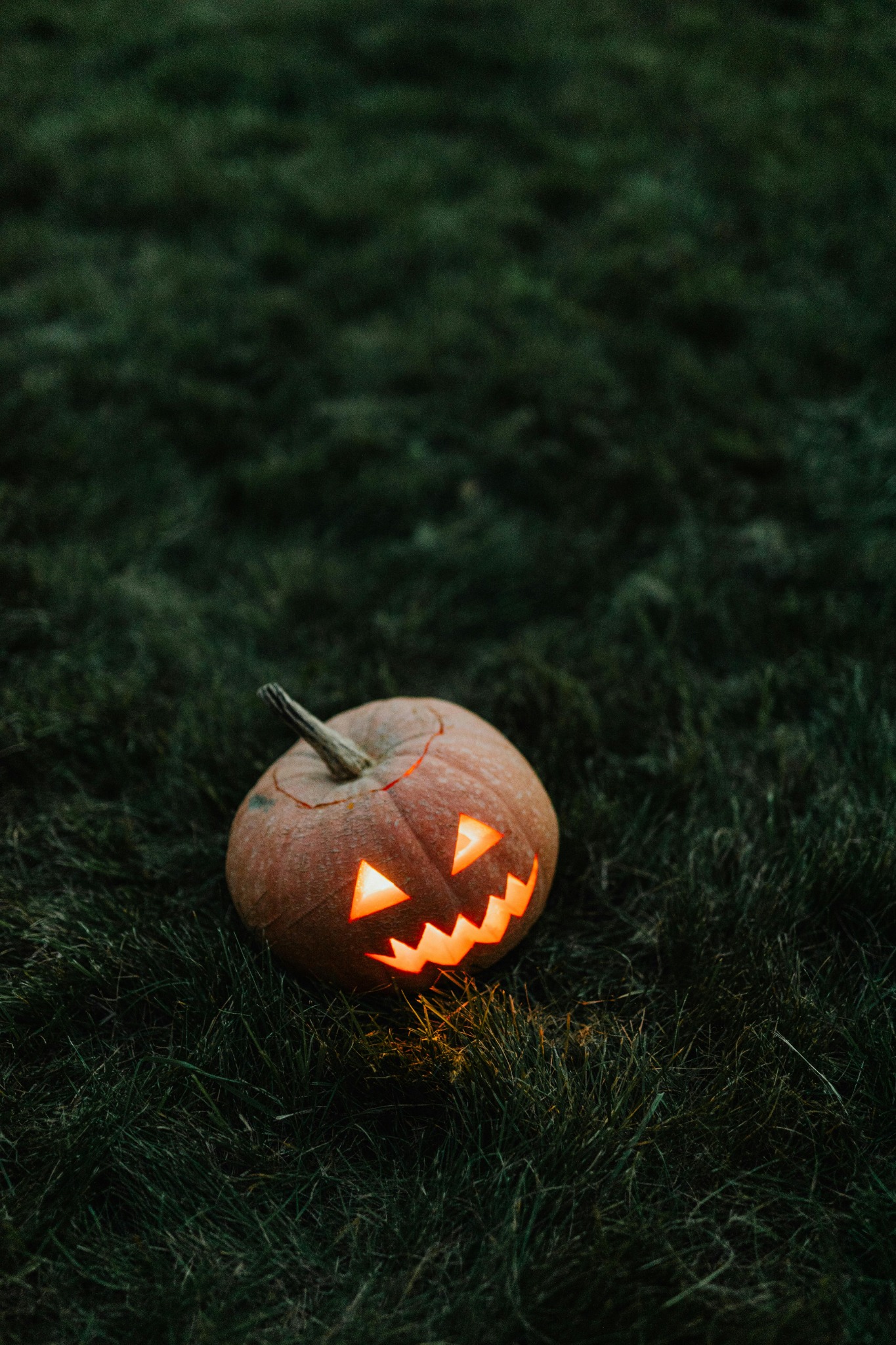 Jack o lantern on grass night