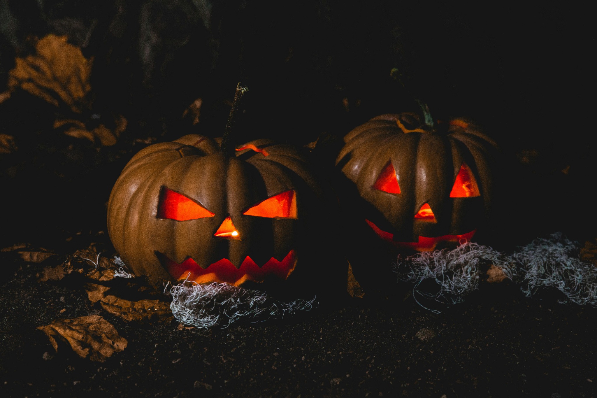 Jack o lanterns night ground