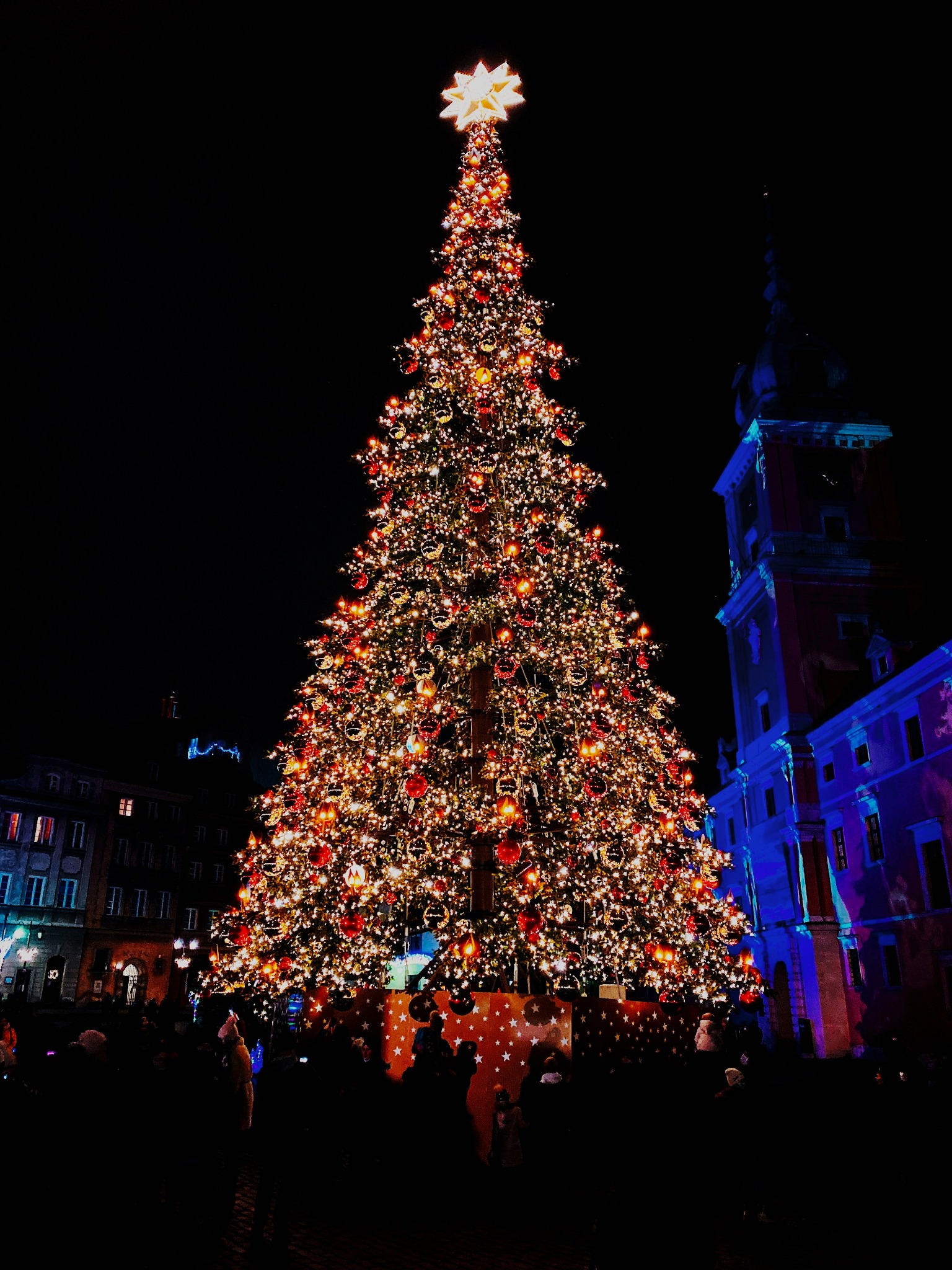 Outdoor christmas tree lights night