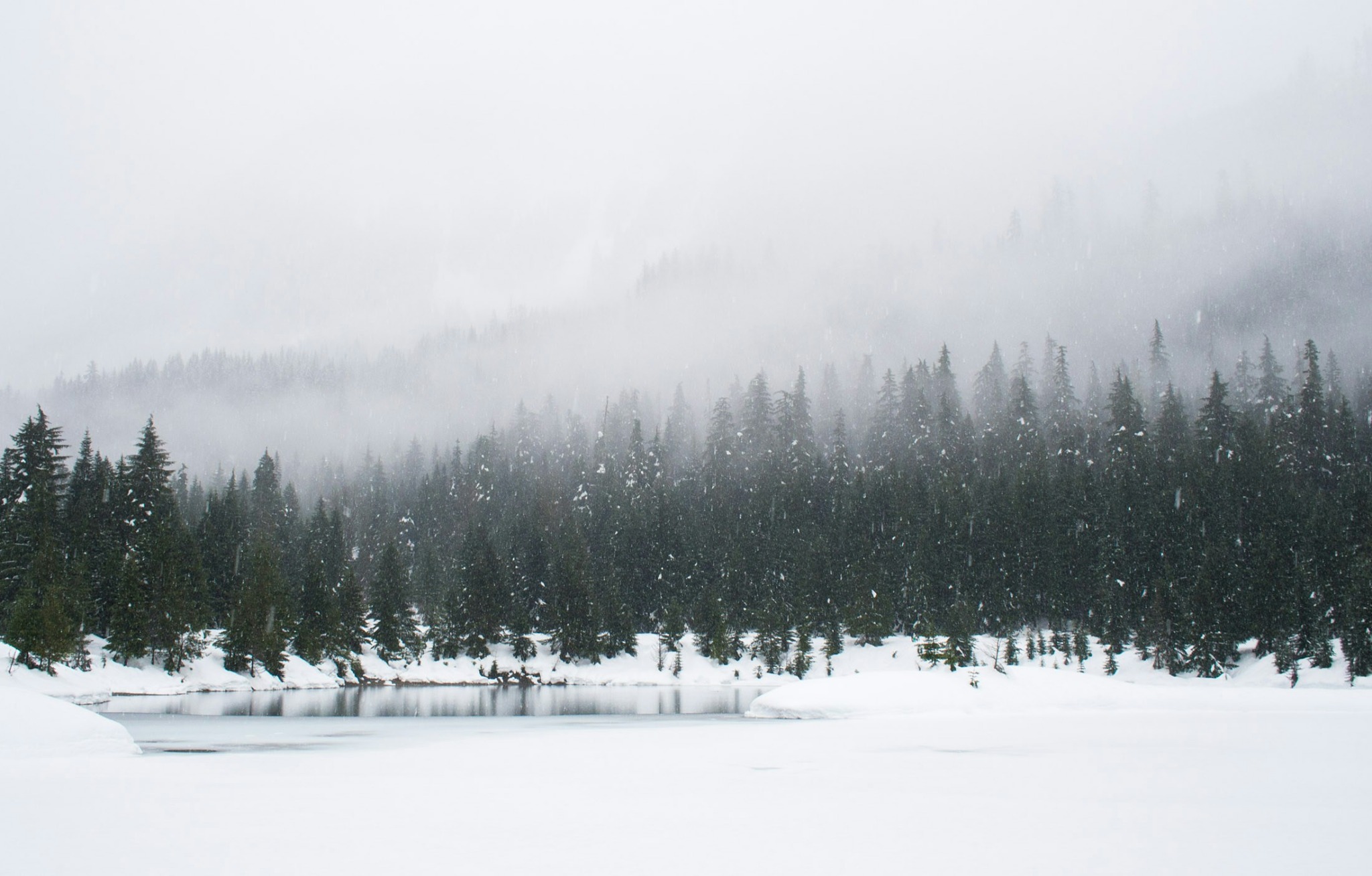 Snowy trees lake winter landscape