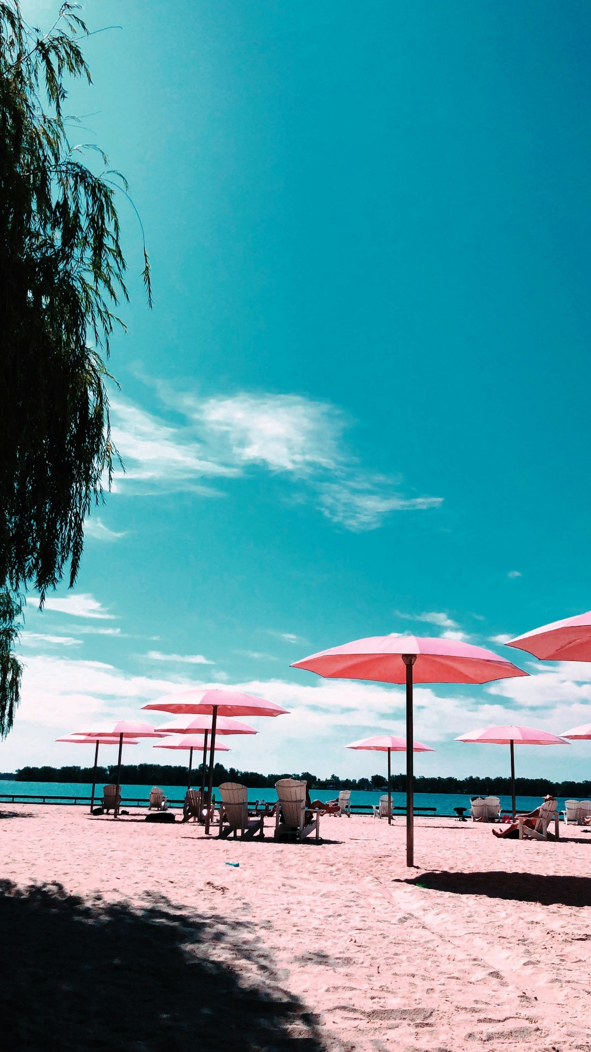 White beach umbrella blue chairs