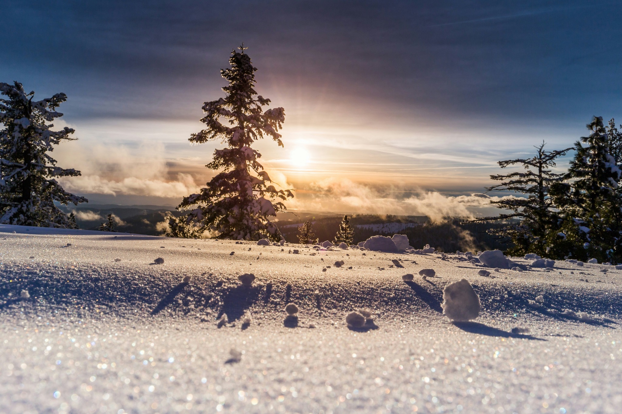 Winter morning sun snow trees