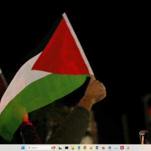 Palestine theme screenshot