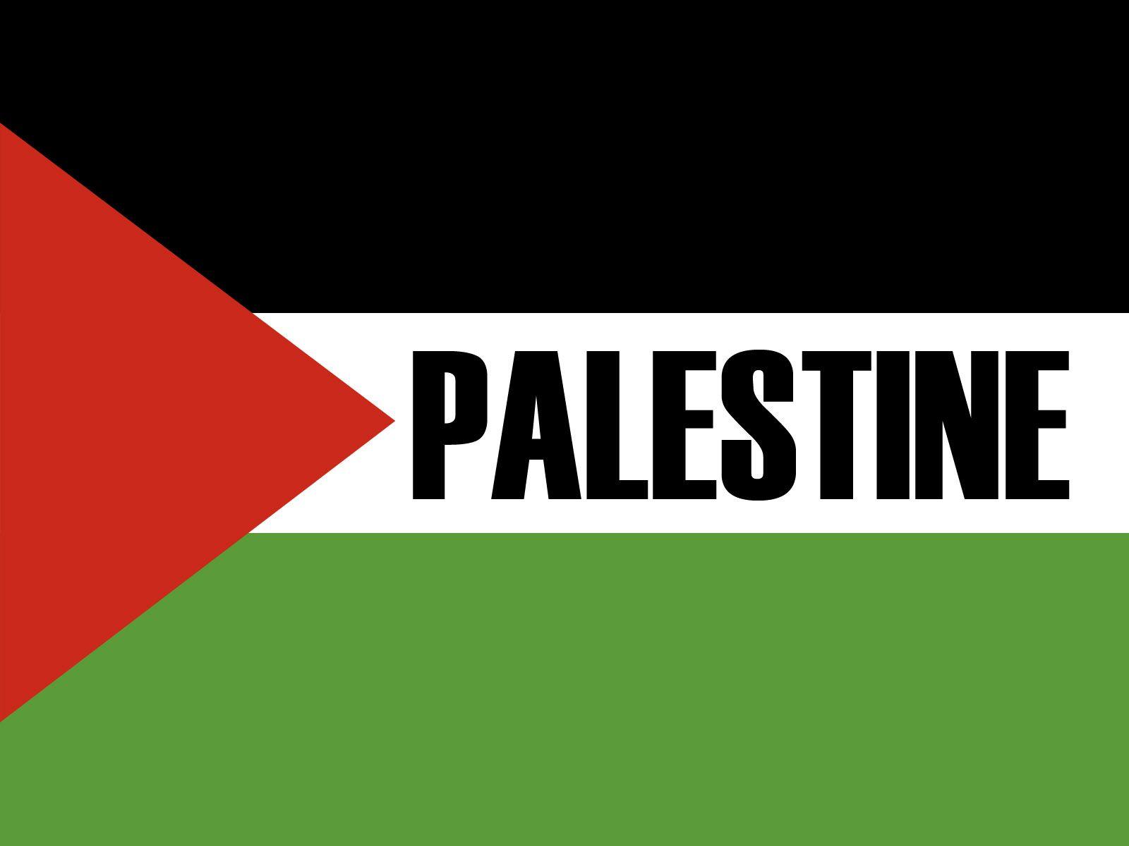 Bold palestine flag design wallpaper