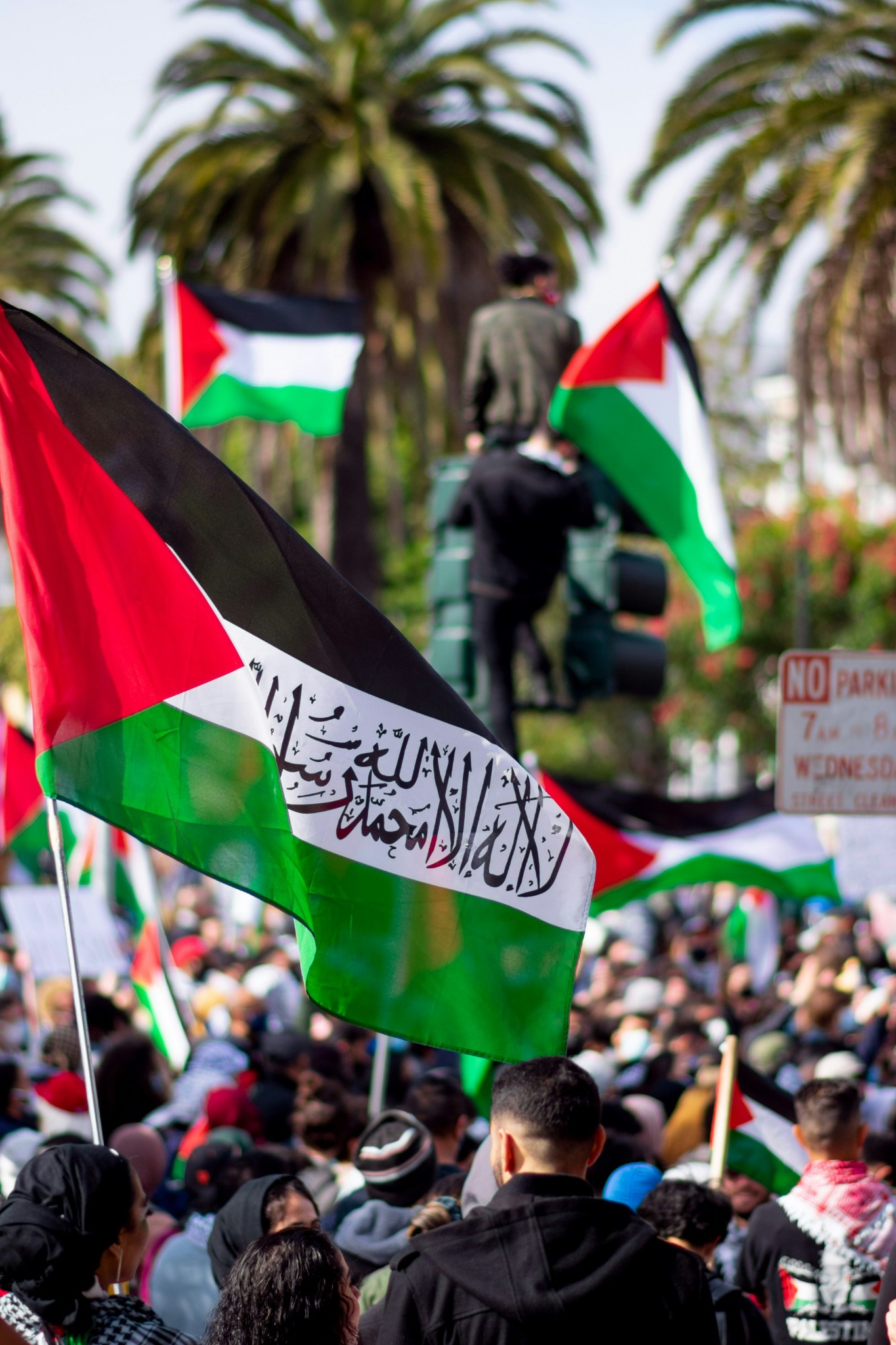 Crowd under palestinian flags wallpaper