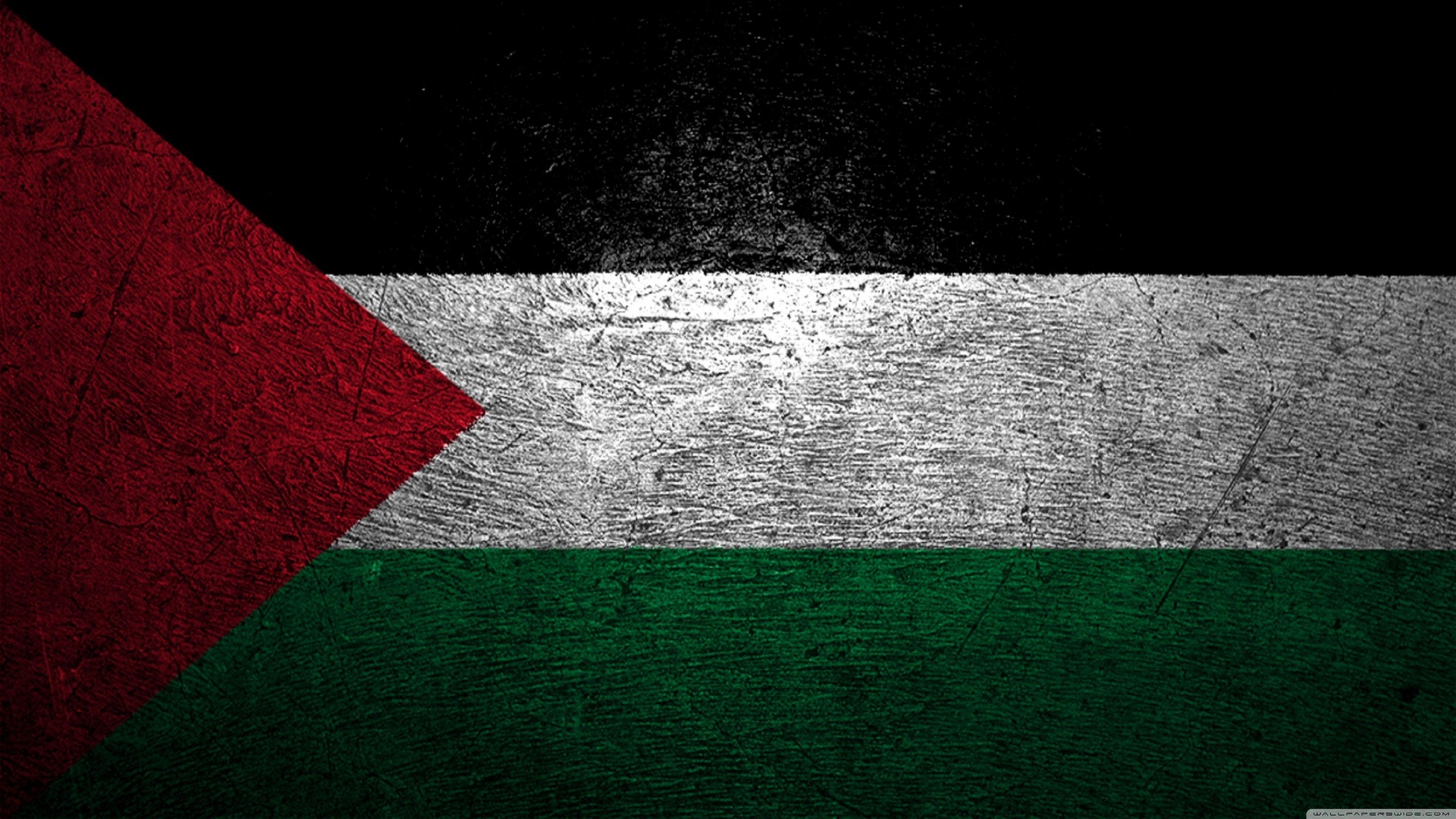 Grunge palestinian flag black background wallpaper