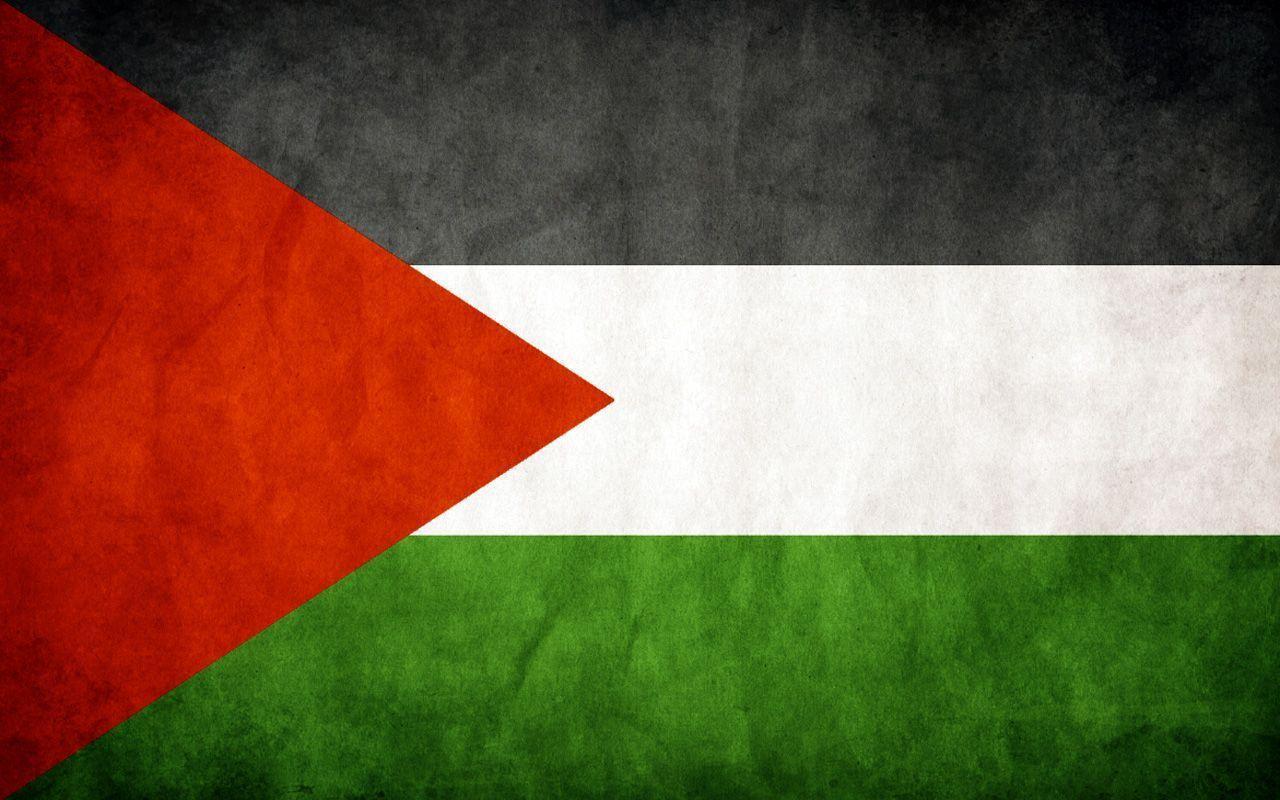 Grunge palestinian flag wallpaper