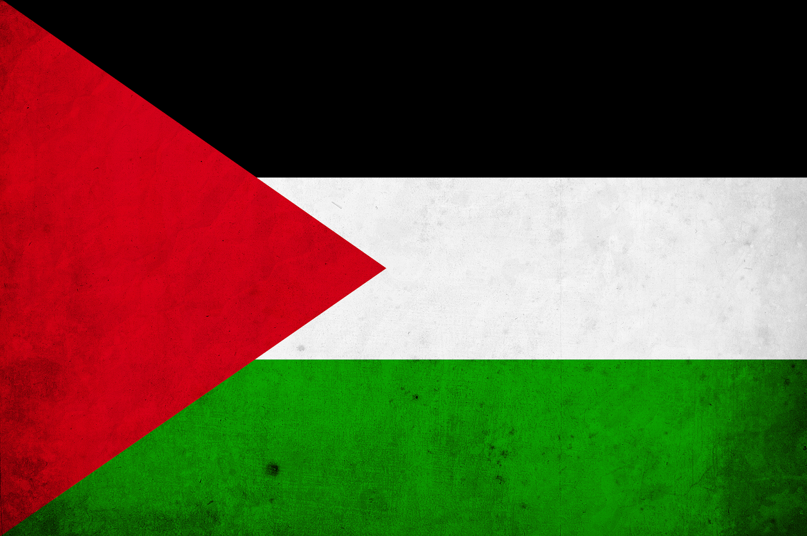 Grunge textured palestinian flag wallpaper