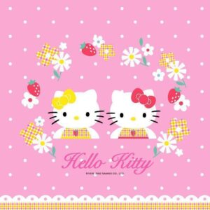 Hello kitty wallpaper with teddy bear