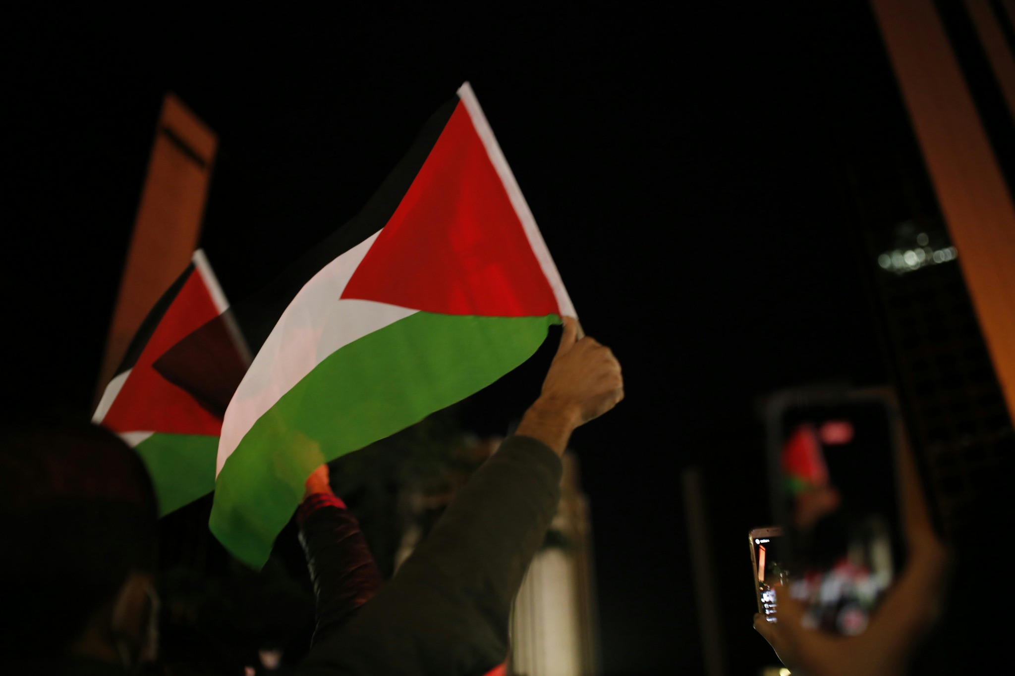 Nighttime palestine flag rally wallpaper