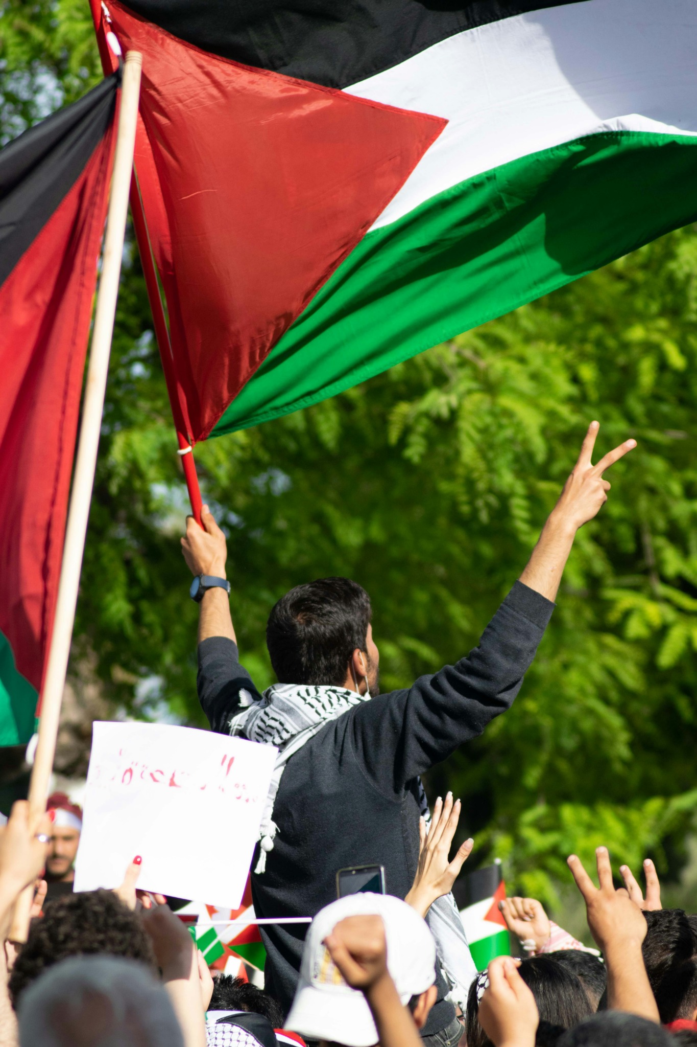 Palestinian flag raised by protester wallpaper