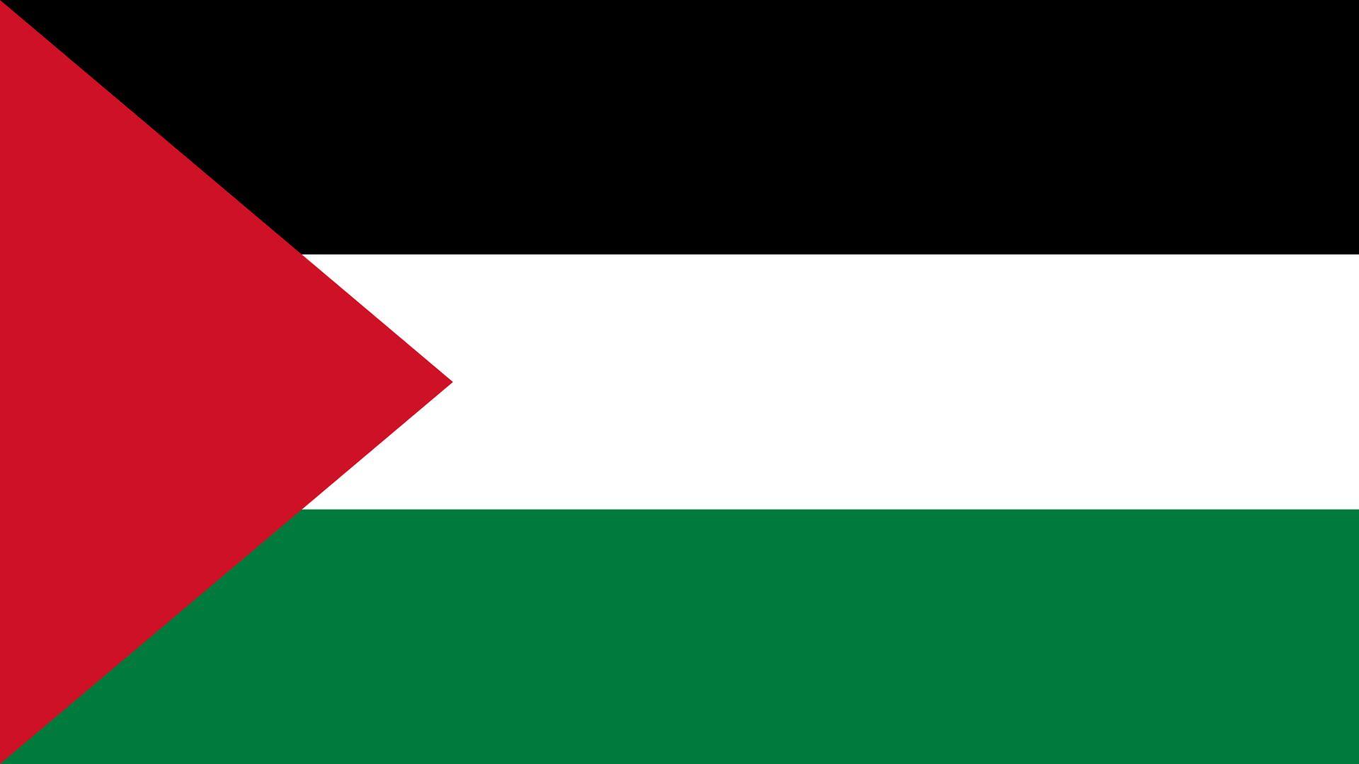 Simplistic palestinian flag design wallpaper