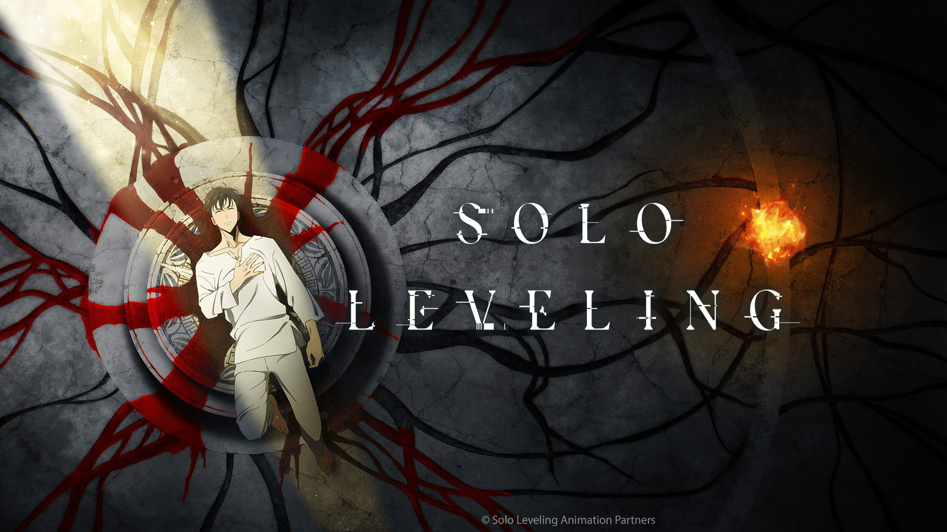 Sung jin woo official solo leveling partners wallpaper