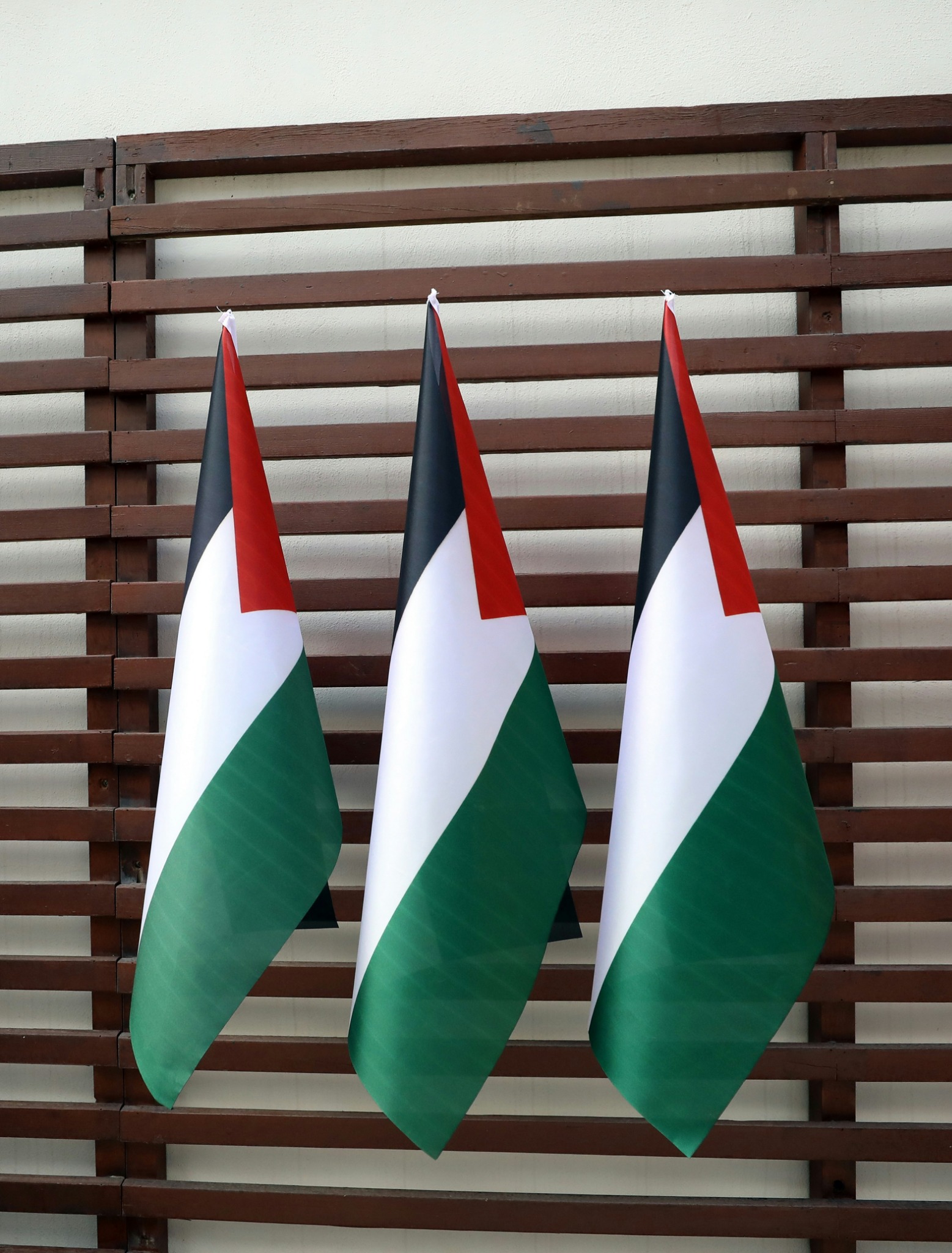 Three palestine flags hanging on wooden fence wallpaper