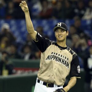 Shohei ohtani nipponham fighters pitching