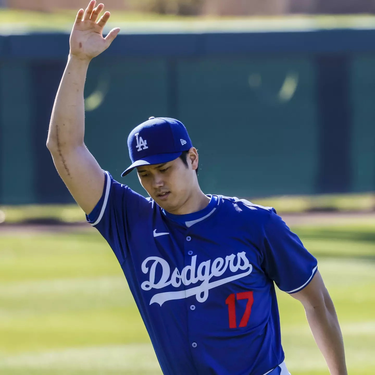 Shohei ohtani dodgers training wallpaper