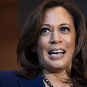 Kamala harris 2024 democratic candidate