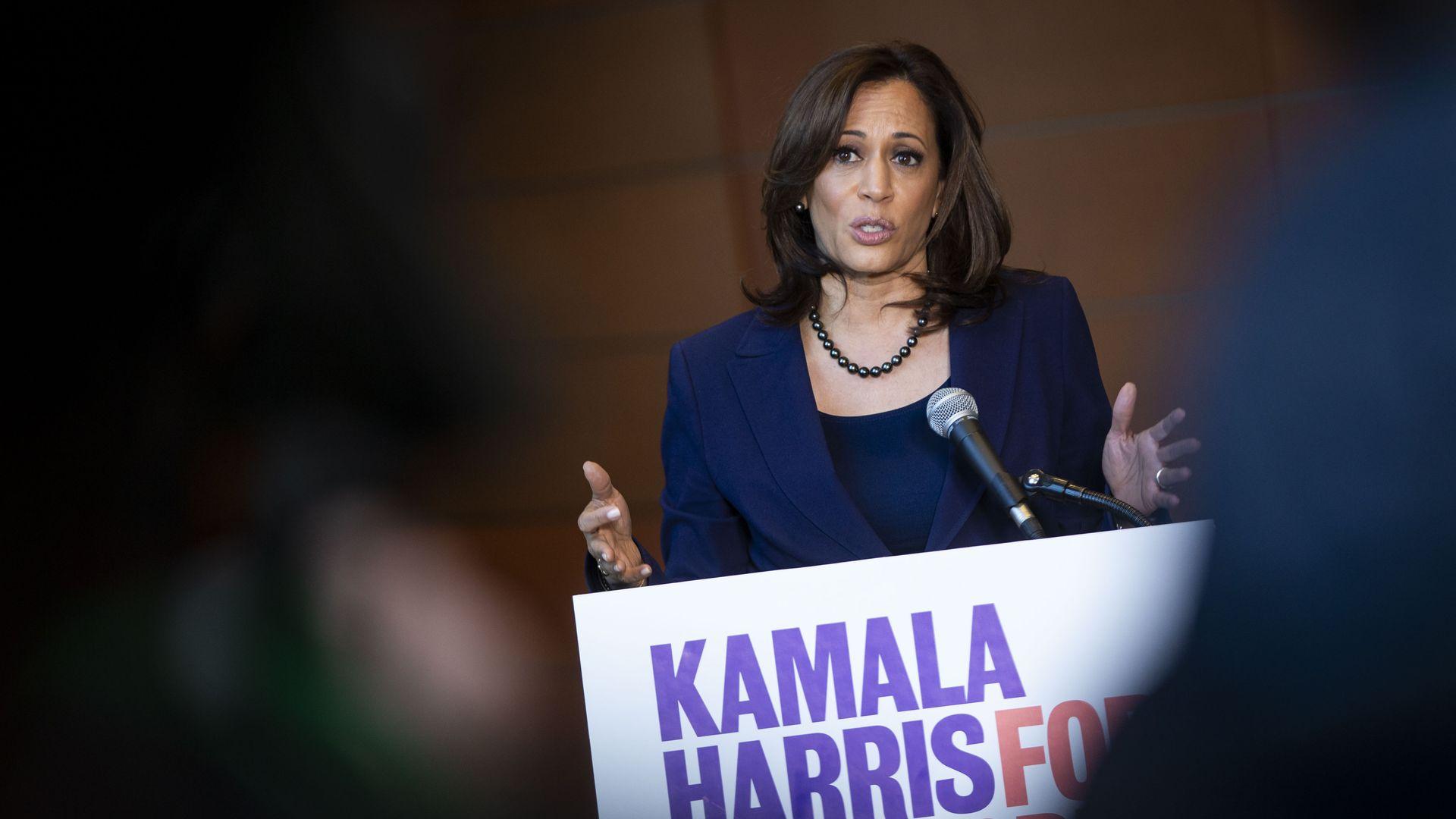 Kamala harris 2024 election portrait