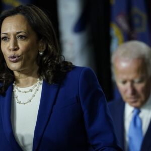 Kamala harris democratic candidate 2024