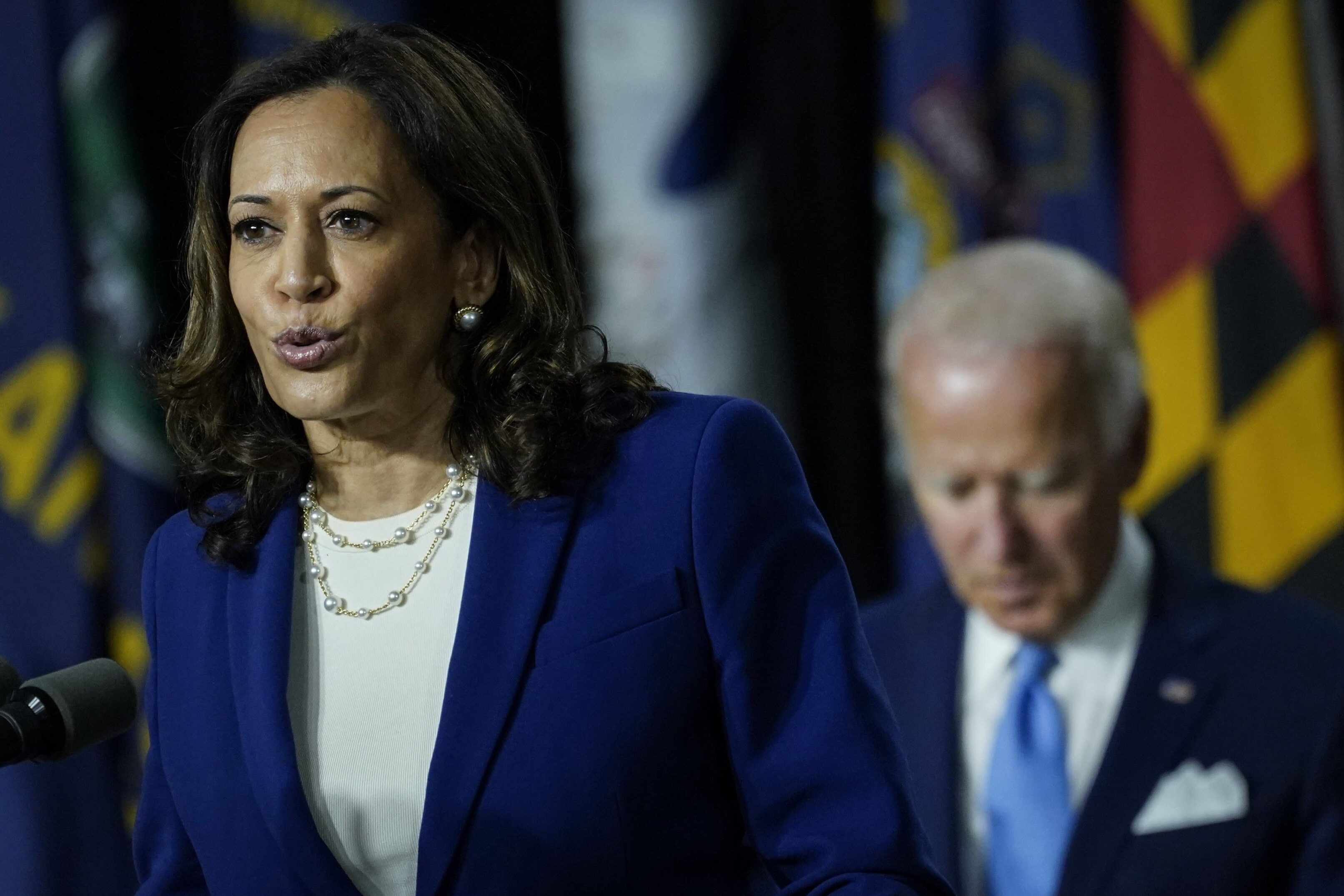 Kamala harris democratic candidate 2024