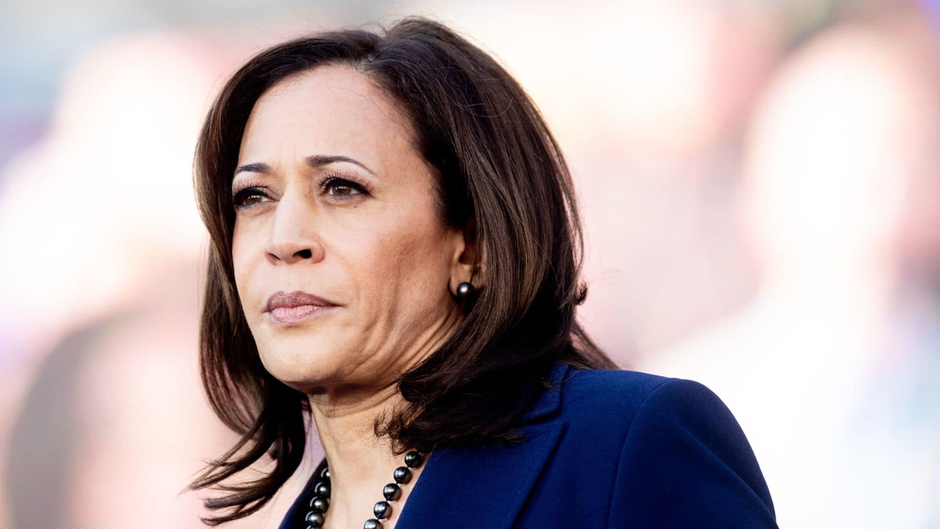 Kamala harris portrait official 2024